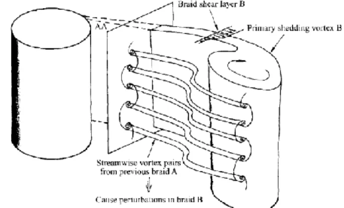 Figure 1-10: Physical mechanism of mode B streamwise vortices formation in the braid shear  layer (Carmo, 2009)
