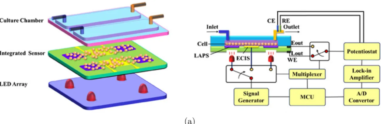 Figure 2.12: Schematic of integrated sensor including the LAPS and ECIS [59].