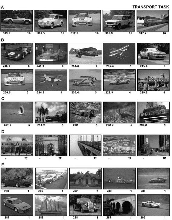 Figure 3. Examples of images presented in the &#34;transport&#34; categorisation task