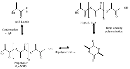 Figure  2-4: PLA production via prepolymer and lactide (Amar, 2005). 