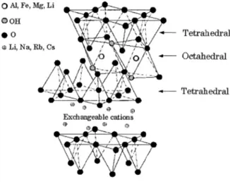 Figure  2-2 ure of montm ices, and th Nowadays,  low cost, yie toward the p -1. The inco other propos t is out of the osite Stru degree of  erties and m 2005b; Krik nanocompos interlayer sp ucture is sch 24:  Structure morillonite m