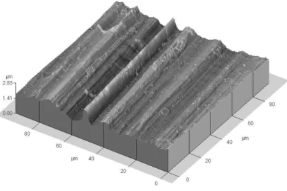 FIG. 1: AFM image of 512×512 points of the aluminum alloy sheet surface. This image has been obtained by Plourabou´e and Boehm[15] in contact mode on a Park Scientific AFM using a long range scanner (100 µm lateral travel and 5 µm vertical travel)
