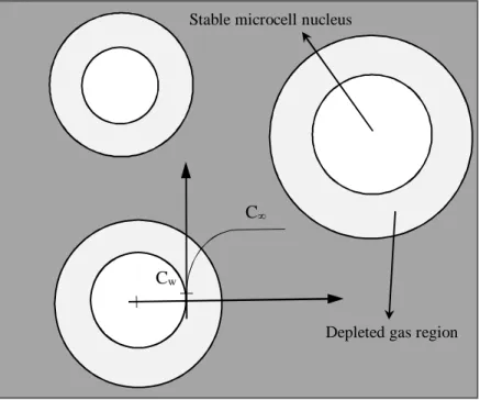 Figure  2.24:  Competition  between  the  growth  of the  existing  cells  and  nucleation  of  new  cells  [67]