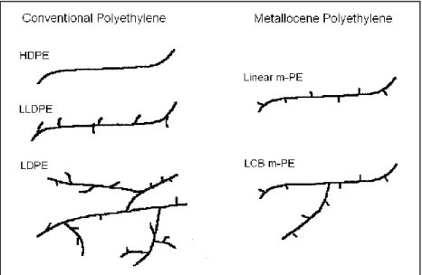 Figure  2-15 Schematic of the molecular structure of the different polyethylenes, (Wood-Adams,  1998)  
