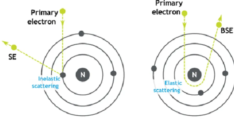 Figure 2.10: A comparison between how secondary electrons vs. back scattered electrons are  formed [44] 