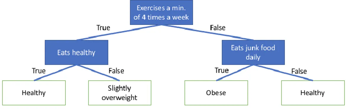 Figure 2-1: Decision Tree Example 