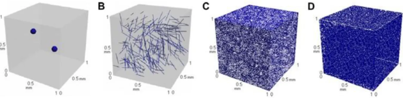Figure 2.1 Distribution of micro and nano scale fillers of the same 0.1 vol.% in a reference  volume of 1 mm 3  (A: Al2O3 particle; B: carbon fiber; C: GNP; D: CNT) [Ma et al