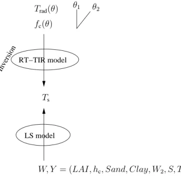 Fig. 2. Schematic diagram showing the input/output data of the radiative transfer model in the thermal infrared (RT-TIR model) and the input/output data of the land surface (LS) model