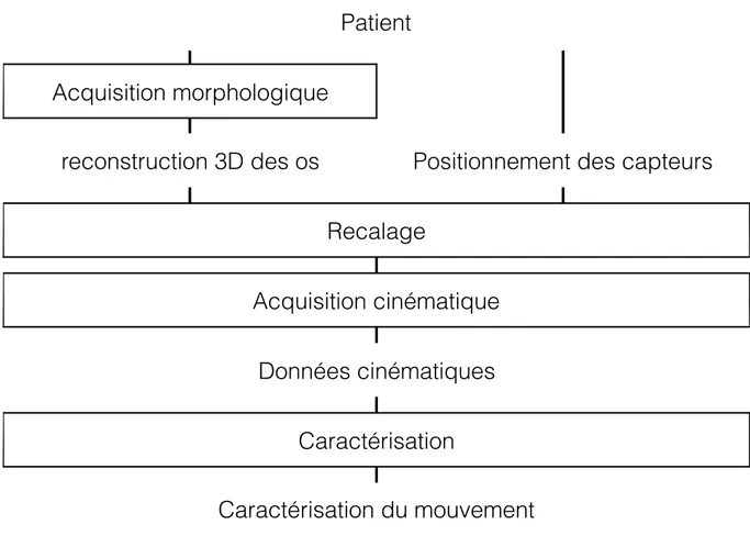 Figure 2.6 Principe général de la visualisation de la cinématique en temps réel par l’utilisation de  capteurs de position 
