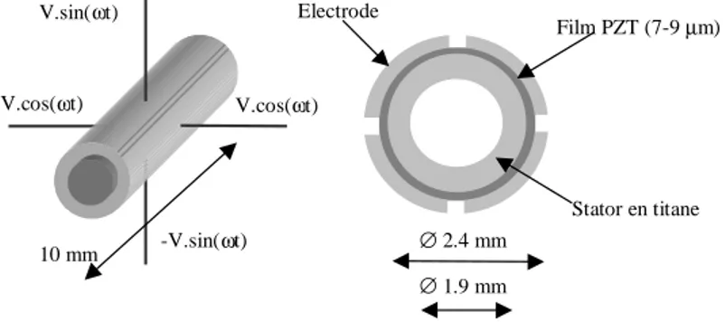 Figure n° 1 : The structure of the stator transducer [1] 