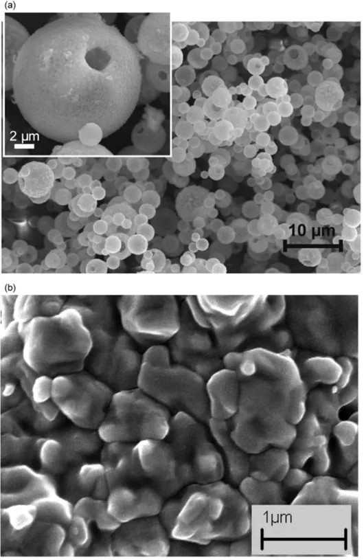 Figure 2-22. Micrographies MEB des couches de CuInS2 déposés par pulvérisation-ILGAR à une  température du substrat égale à (a) 95 °C et (b)  65 °C (Fischer et al., 2003)