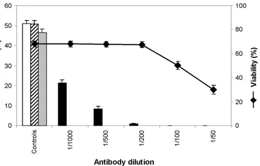 Figure 5. Effect of anti-Cdc2 antibody on protoplasts in culture. Division rate (bar chart) and viability (♦)  at various dilutions of the antibody