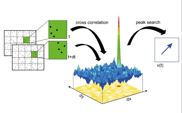 Figure 3.6 Représentation schématique d’un algorithme de traitement d’image par corrélation croisée pour la technique de vélocimétrie par image de particules (PIV) (image reproduite avec la permission de Lavision, 2018)
