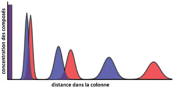 Figure 2-4. Résolution des composés au long de la colonne chromatographique , adapté de  ((ASDL), 2013) 