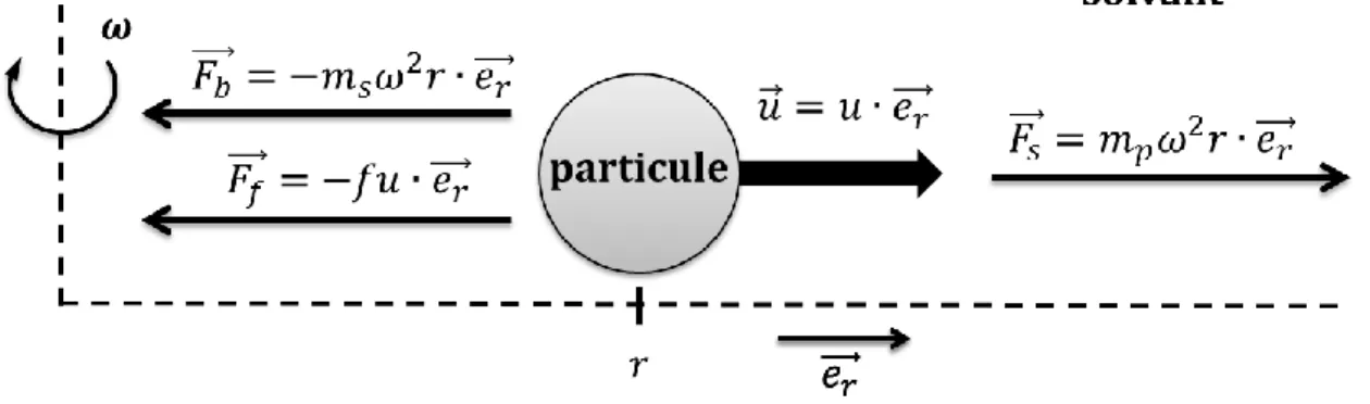 Figure 5. Représentation des forces appliquées sur une particule dans une ultracentrifugeuse  analytique
