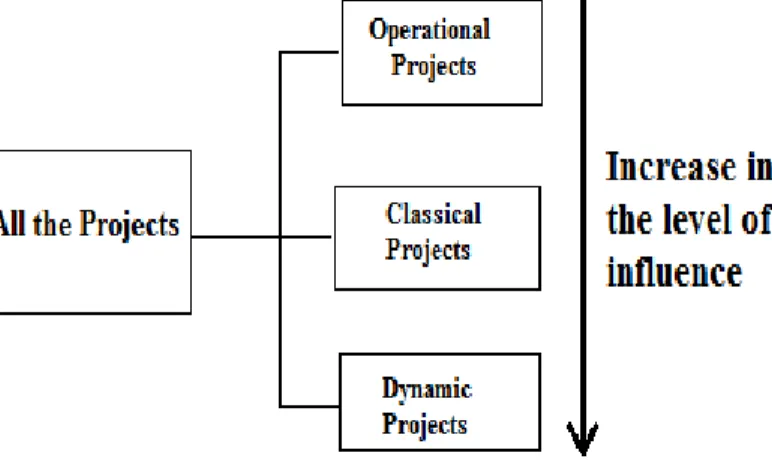 Figure 4.2 Example of causal-based project classification drawn upon Collyer, and Warren  (2009) 