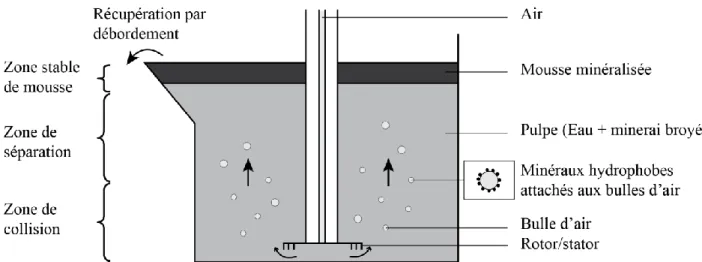 Figure 2-1: Schéma simplifié d’une cellule de flottation par agitation mécanique (d’après Wills and  Napier-Munn (2015) et Derycke (2009))