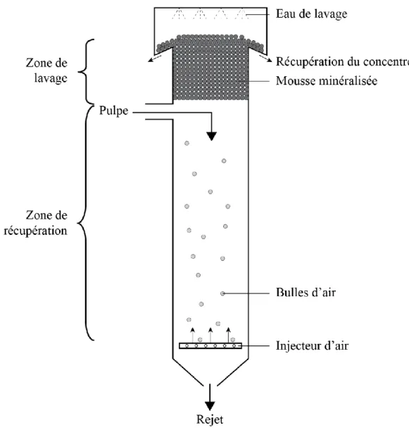 Figure 2-2: Schéma simplifié d’une colonne de flottation.  2.1.2  Aspects physico-chimiques 