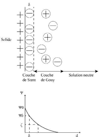 Figure 2-3: Illustration de la double couche électronique par le modèle Gouy-Chapman (d’après  Bouchard (2001), Fuerstenau and Raghavan (2007) et Cao et al