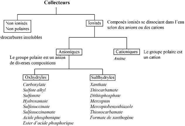 Figure 2-5: Classification et exemples de collecteurs (d’après Bulatovic (2007)).  2.1.3.1.1  Les propriétés des collecteurs non thiol 