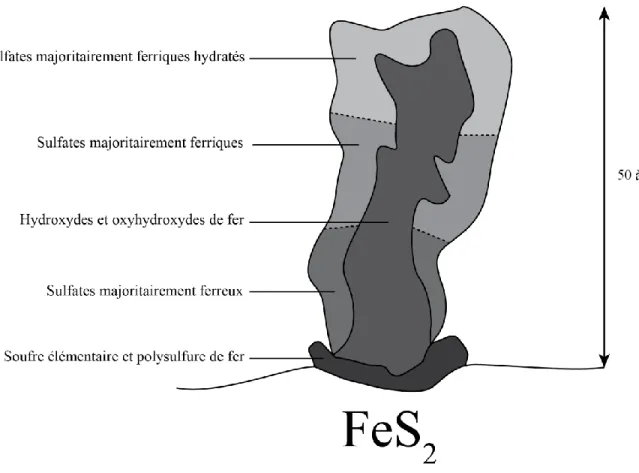 Figure  2-13:  Schéma  de  la  structure  du  pilier  d’oxydation  de  la  pyrite  après  broyage  à  sec  (Mermillod-Blondin, 2005)