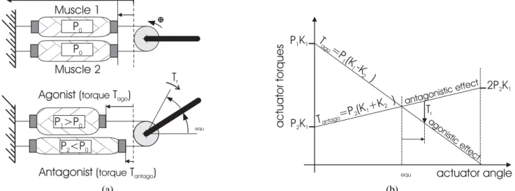 Fig. 6. Antagonistic McKibben muscle actuator: (a) functioning principle; (b) application of the equilibrium point principle to the antagonistic muscle actuator (illustrated in the case of positive θ actuator angle).