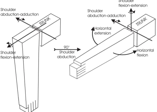 Fig. 2. Argument for considering shoulder abduction–adduction first in the kinematic chain so as to be in agreement with the physiological definition of the shoulder horizontal flexion–extension, as considered in classical joint physiology treatises (Kapandji 1982).