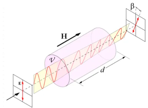 Figure 2.1 : Loi de Faraday décrivant la polarisation de la lumière [41]