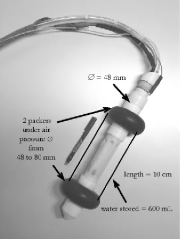 Fig. 1. The packer system.