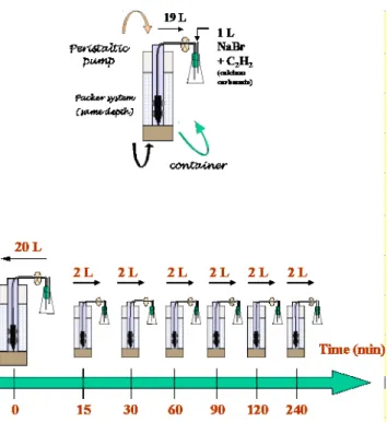 Fig. 2. Application of the methodology in the field.