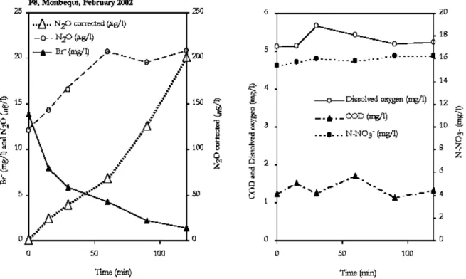 Fig. 3. Bromide, N 2 O and corrected N 2 O, DOC, Dissolved oxygen and nitrogen nitrate concentrations versus time in a piezometer