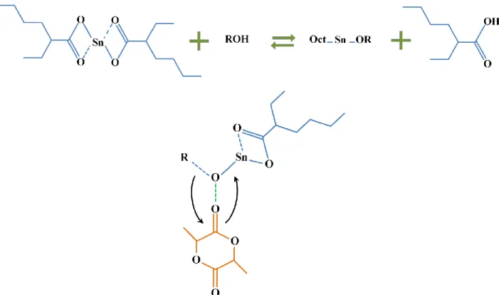 Figure 2.4. Ring-opening polymerization mechanism of lactide by stannous octoate in presence of  OH group (tin alkoxide mechanism) 