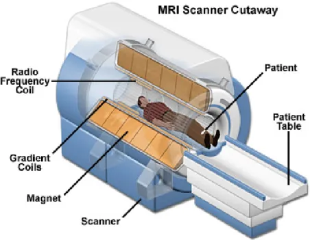 Figure 2.6 MRI scanner structure (Orthopaedics, 2017)