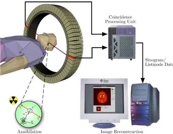 Figure 2.8 Schema of a PET acquisition process (Maus, 2003)