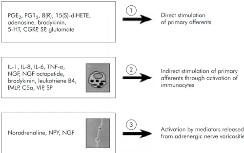 Figure 1 Substances and major local pathways involved in triggering hyperalgesia to distension within the gut