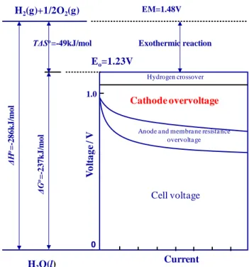 Figure 2.2 Current-Voltage characteristics and thermodynamic properties of actual PEMFC 