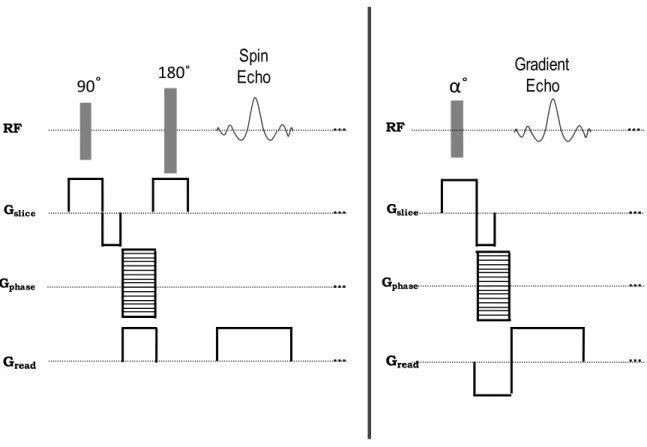 Figure 2-4: Spin echo sequence (left) versus gradient echo sequence (right). 
