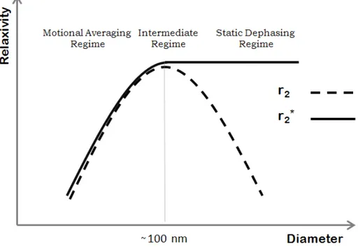 Figure 2-6: Sketch of the transverse relaxivity as a function of nanoparticle’s diameter in  different dephasing regimes