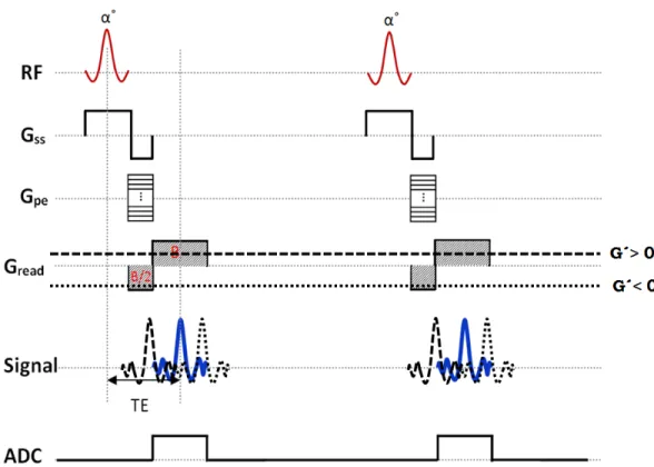 Figure 2-7: Effects of negative and positive background gradients during data acquisition on  echo shifting in GRE-based sequences