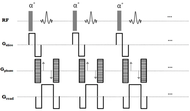 Figure 2-13: Balanced SSFP sequence.  The signal intensity for the balanced sequence is given by [66]: 