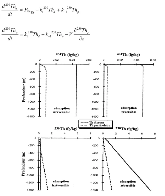 Figure 6: Profils de  234 Th et de  230 Th dissous et particulaire modélisés pour une adsorption