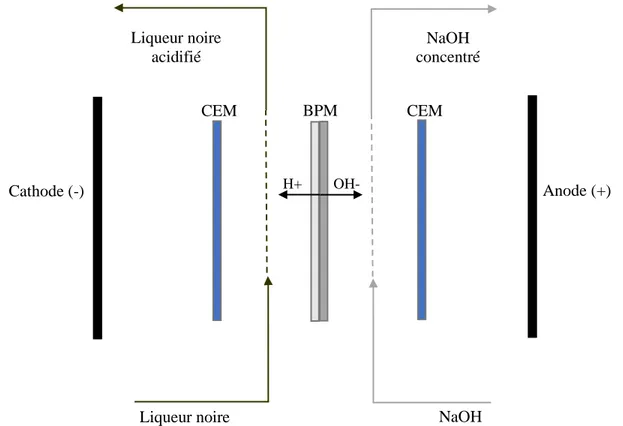 Figure 2-3 - Schématisation du processus de l'électrodialyse de la liqueur noire à membrane  bipolaire 