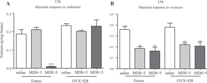 Fig. 7. Maximal contractile response of CM to Carb (A) and of LM to OT (B) 4 days after intracolonic instillation of saline or TNBS in estrus rats and in estradiol benzoate-treated ovariectomized rats (OVX ⫹EB)