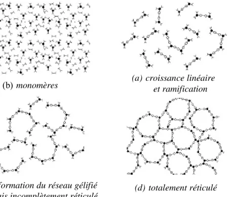 Figure  2-7: Schématisation des quatre phases de la réaction de réticulation de la résine  époxyde[35] 