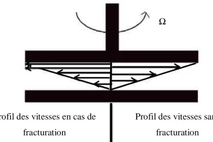 Figure  2.17: Profil des vitesses en cisaillement normal et lors d’une fracturation dans  l’échantillon (adapté de Baudez, 2001)