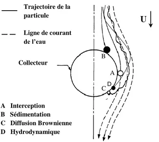 Figure  2.8  :  Mécanismes  de  transport  sur  collecteur  unique  (adaptée  de  Ives  (1970);  Yao  et  al
