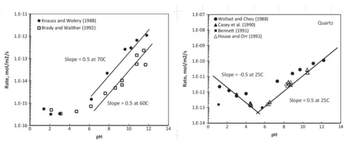 Figure 2.21  Taux de dissolution du quartz à différentes températures en fonction du pH  (Crundwell, 2014b) 