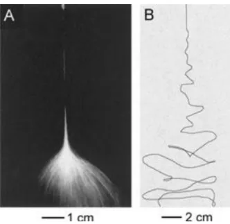 Figure  2-9:  Photographs  of  a  jet  of  PEO  solution  during  electrospinning  with  two  different  capture times: A) 1/250 s, B) 18 ns (Shin, Hohman et al
