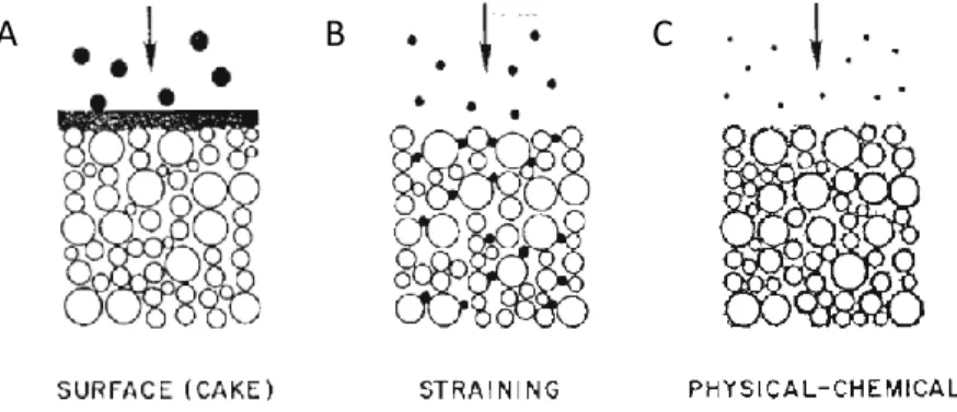 Figure 1.1: Illustration des mécanismes d’enlèvement en milieu poreux soit (A) la formation de 