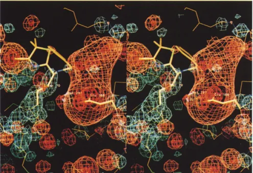Fig.  6. Map  of the  electrostatic  potential